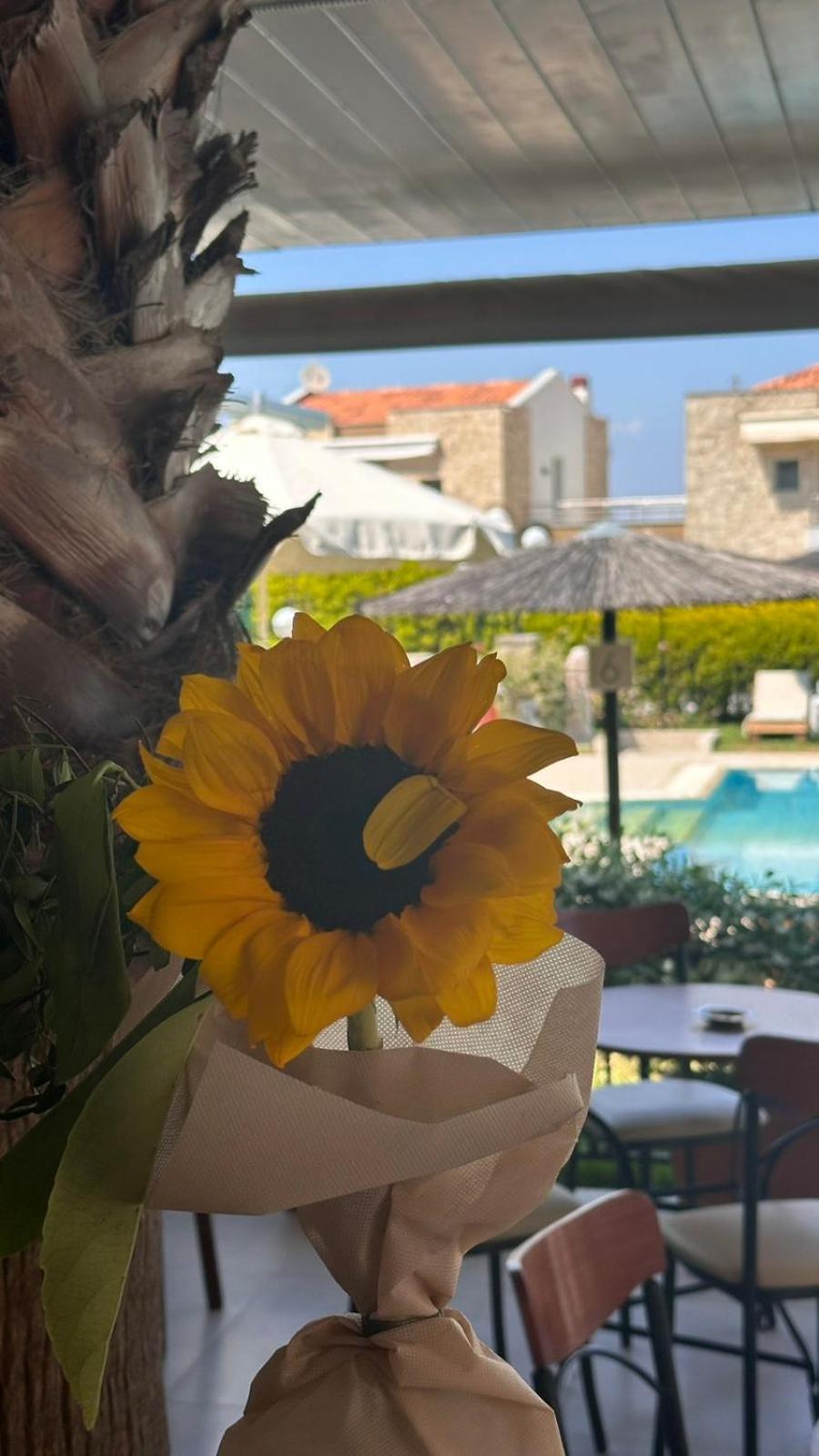 Golden Family Apartamento Pefkochori